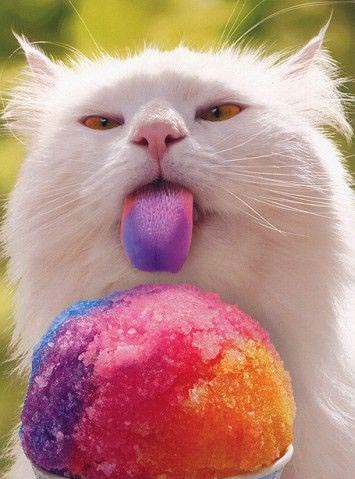 Via montessoricats.com